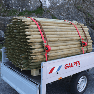 QUICKLOADER® QL4500 tie-down - Quickloader